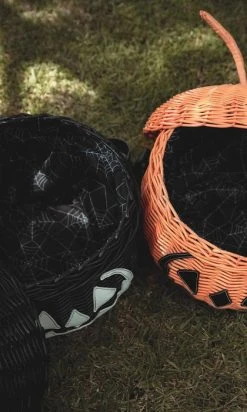 LIVELY GHOSTS Haunted Hallows | PICNIC BASKET -Restyle Sales Shop 2 0dc7b8b8 74c9 47fa 94dd 6c4e777d1681 700x700