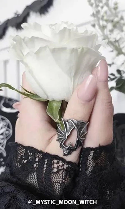 ALCHEMY GOTHIC Stealth | RING 6 ALCHEMY GOTHIC Stealth | RING - Image 4