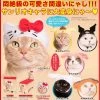 Cute Sanrio Character | CAT HEADWEAR [BLIND BOX]