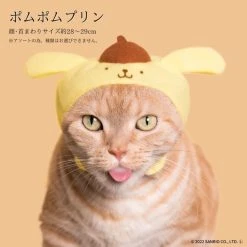 Cute Sanrio Character | CAT HEADWEAR [BLIND BOX] -Restyle Sales Shop asunaro cute sanrio character cat headwear blind box 4 f7b965ee a4d6 482d 8234 14d901bc5363 700x700