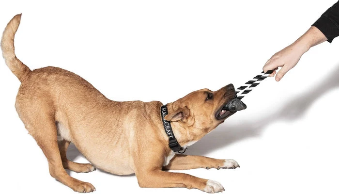 BLACKCRAFT Batcraft | PET TOY** 5 BLACKCRAFT Batcraft | PET TOY** - Image 3