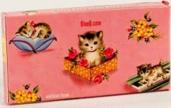 BLUE Q Hey Bitches | GUM -Restyle Sales Shop blueq hey bitches gum 2 c7f4d650 4145 4368 9218 6d41455cb65d 700x700