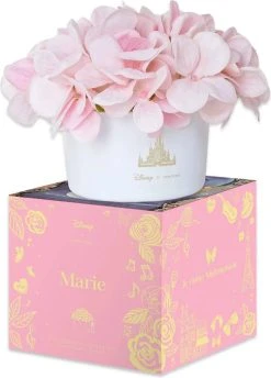 DISNEY X SHORT STORY Disney Marie Floral | BOUQUET DIFFUSER -Restyle Sales Shop disney x short story disney marie floral bouquet diffuser 8 aeeb0b94 26e6 45b8 a43b 1a7a59059658 700x700