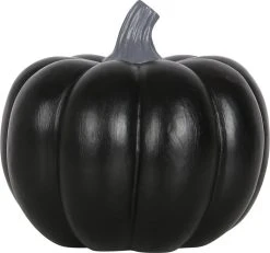 GOTHIC GIFTS Black Pumpkin | INCENSE CONE HOLDER -Restyle Sales Shop gothic gifts black pumpkin incense cone holder 3 d03215a6 b9c8 46a2 8dba 83dd5ddcd70d 700x700