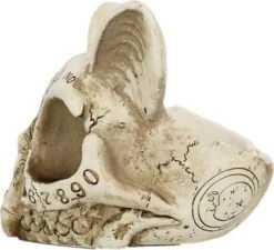 GOTHIC GIFTS Spirit Board | CAT SKULL ORNAMENT 9 GOTHIC GIFTS Spirit Board | CAT SKULL ORNAMENT -Restyle Sales Shop gothic gifts spirit board cat skull ornament 2 9772b8be b973 4b22 ab41 25005d1e7441 700x700