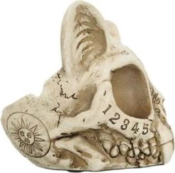 GOTHIC GIFTS Spirit Board | CAT SKULL ORNAMENT 10 GOTHIC GIFTS Spirit Board | CAT SKULL ORNAMENT -Restyle Sales Shop gothic gifts spirit board cat skull ornament 3 d7f9afb4 a936 4e31 9e57 238a005207eb 700x700