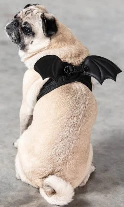 KILLSTAR Flutter | PET HARNESS*