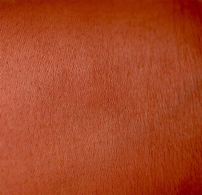 LUNATICK COSMETIC LABS Relic | COFFIN PALETTE** 11 LUNATICK COSMETIC LABS Relic | COFFIN PALETTE** - Image 9