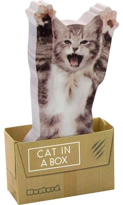 MUSTARD Cat In A Box | STICKY NOTES* 3 MUSTARD Cat In A Box | STICKY NOTES*