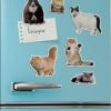 MUSTARD Fat Cat | FRIDGE MAGNET SET -Restyle Sales Shop mustard fat cat fridge magnet set 1 1 02e9c134 5bc2 40ec 8d10 ff4d7199a6f8 700x700
