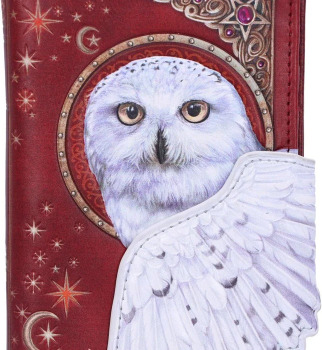 NEMESIS NOW Magical Flight | EMBOSSED PURSE 9 NEMESIS NOW Magical Flight | EMBOSSED PURSE - Image 7