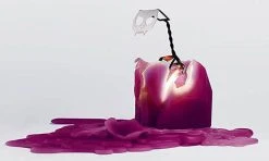 PYROPET Kisa [Burgundy] | CANDLE -Restyle Sales Shop pyropet kisa burgundy candle 3 936fd2ac 326e 42ac 871f 803f73d92b04 700x700