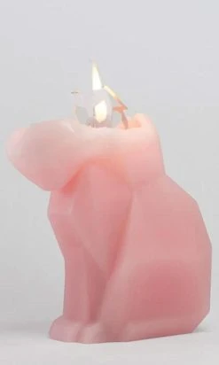 PYROPET Kisa [Pink] | CANDLE -Restyle Sales Shop pyropet kisa pink candle 03 700x700