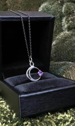 ROGUE AND WOLF Selene [Mirror Steel] | NECKLACE -Restyle Sales Shop rogue and wolf selene mirror steel necklace 4 f6f2f643 ba42 4cd4 8e8c bc1852b19996 700x700