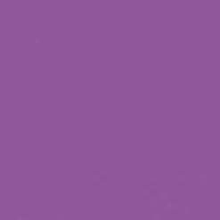 STARGAZER Plum | SEMI-PERMANENT LIP STAIN PEN -Restyle Sales Shop semi permanent lip stain pen 10 2 700x700