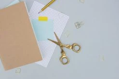 SUCK UK Skull | SCISSORS -Restyle Sales Shop suck uk skull scissors 11 c5945d0a fd25 45e0 bdd6 d623e2968d01 700x700